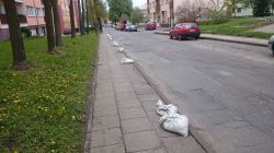 sprzątanie chodnika i pobocza drogi przy ul. Zamkowej